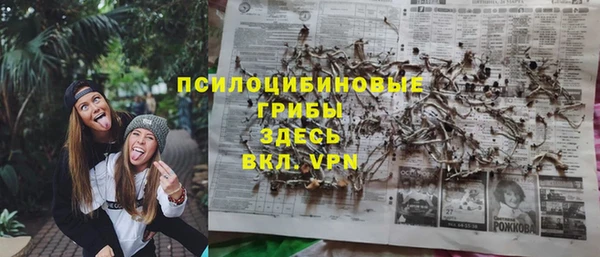 ALPHA-PVP Белокуриха