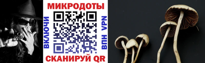 Галлюциногенные грибы MAGIC MUSHROOMS  OMG ссылки  Собинка 
